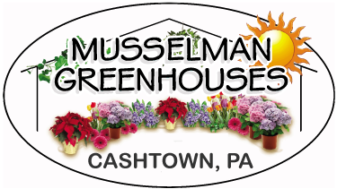 Musselman Greenhouses header image